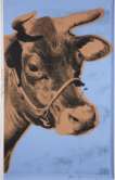 Cow (F. & S. II.11A) - Signed Print