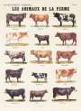 Marcel Broodthaers: Les Animaux De La Ferme I - Signed Print