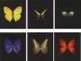 Damien Hirst: The Souls On Jacob's Ladder Take Their Flight (complete set) - Signed Print