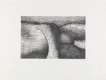 Elephant Skull VI - Signed Print