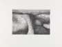 Henry Moore: Elephant Skull VI - Signed Print