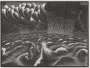 M. C. Escher: The Second Day Of Creation - Signed Print