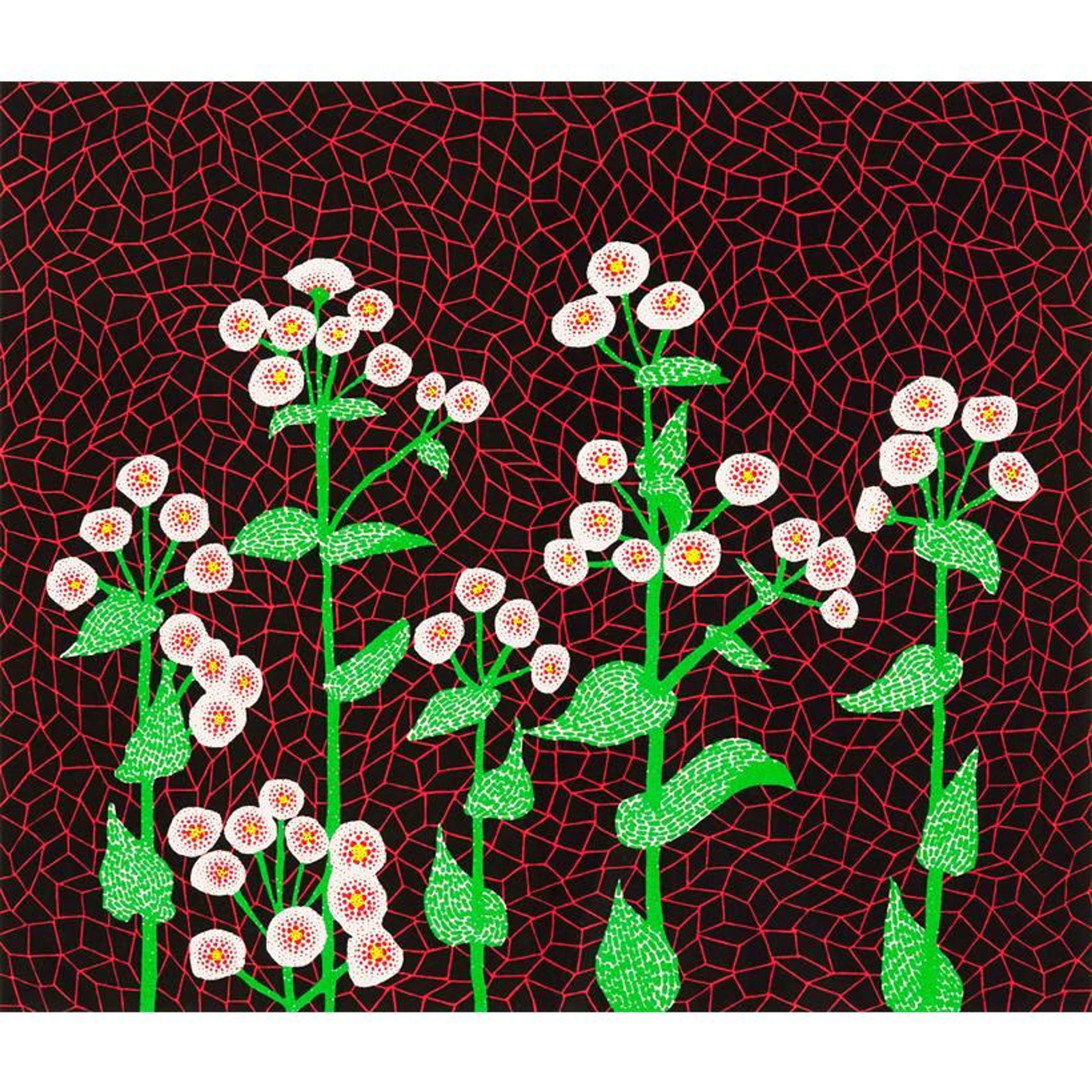 Flowers 2 - Signed Print by Yayoi Kusama 1985 - MyArtBroker