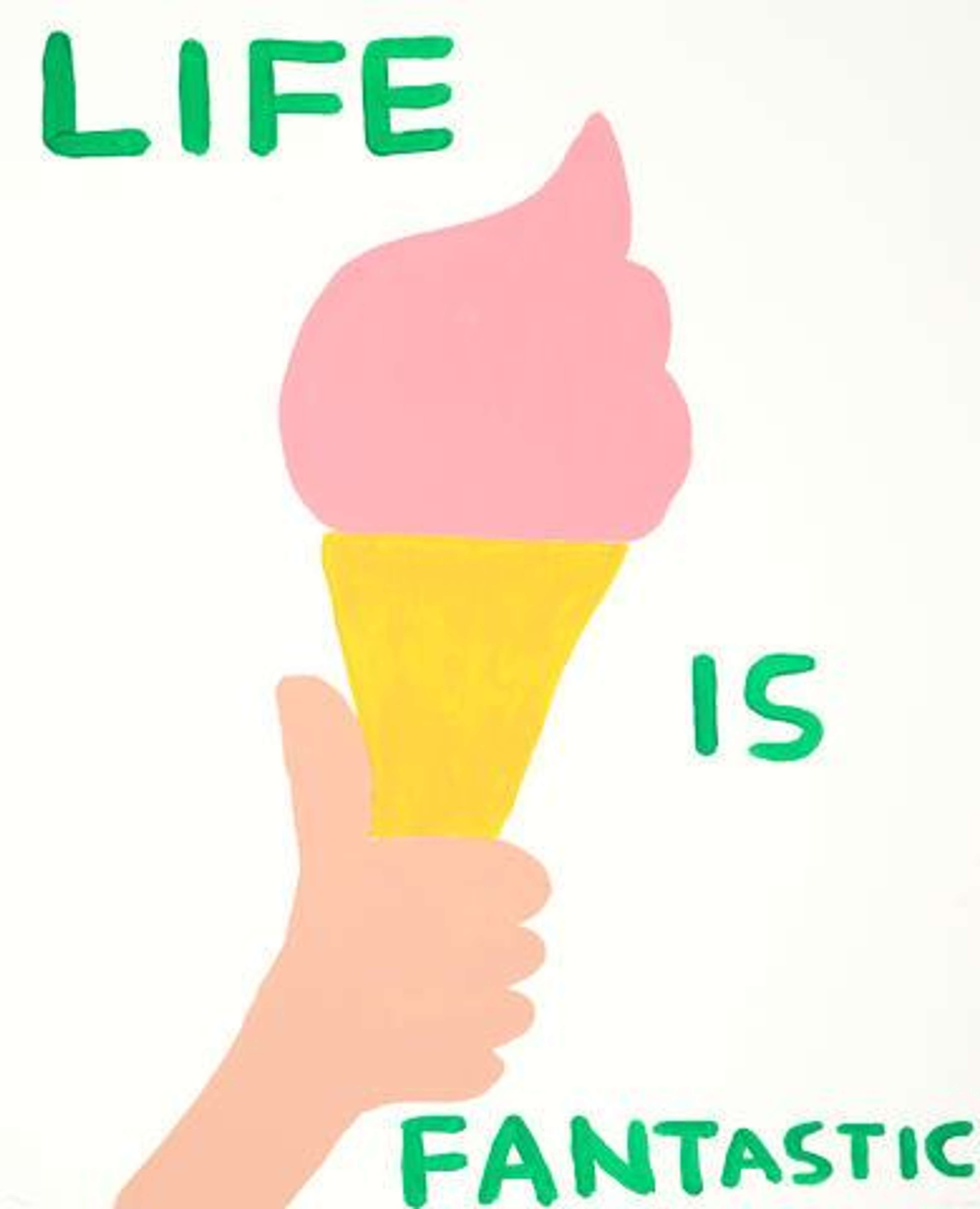 Life Is Fantastic - Signed Print by David Shrigley 2016 - MyArtBroker