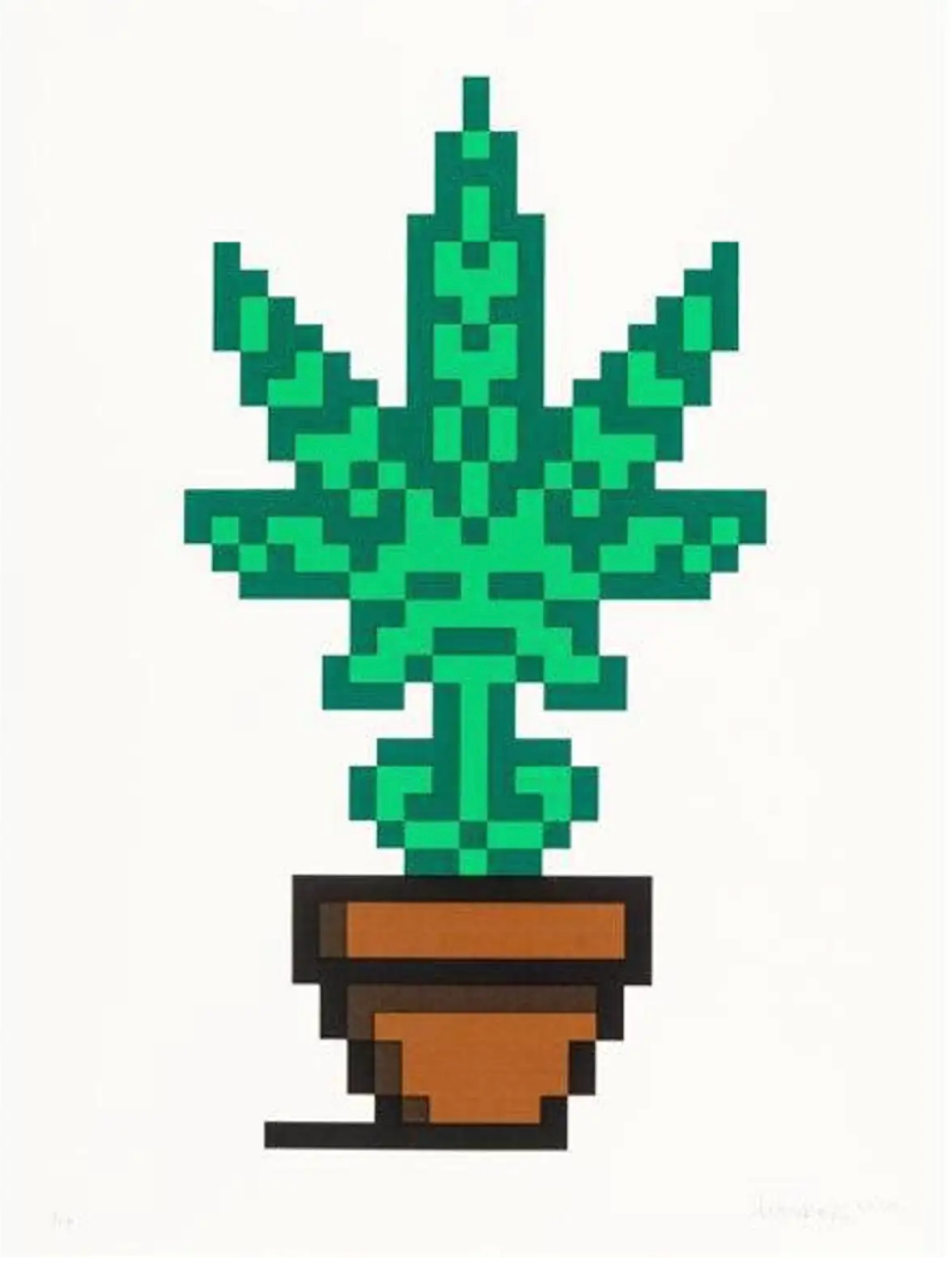 Hollyweed (brown) by Invader