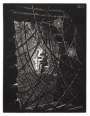 Maurits Cornelis Escher: Cobwebs - Signed Print