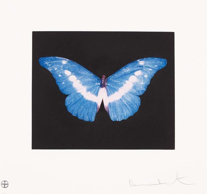 Damien Hirst Art for Sale: Prints & Originals | MyArtBroker