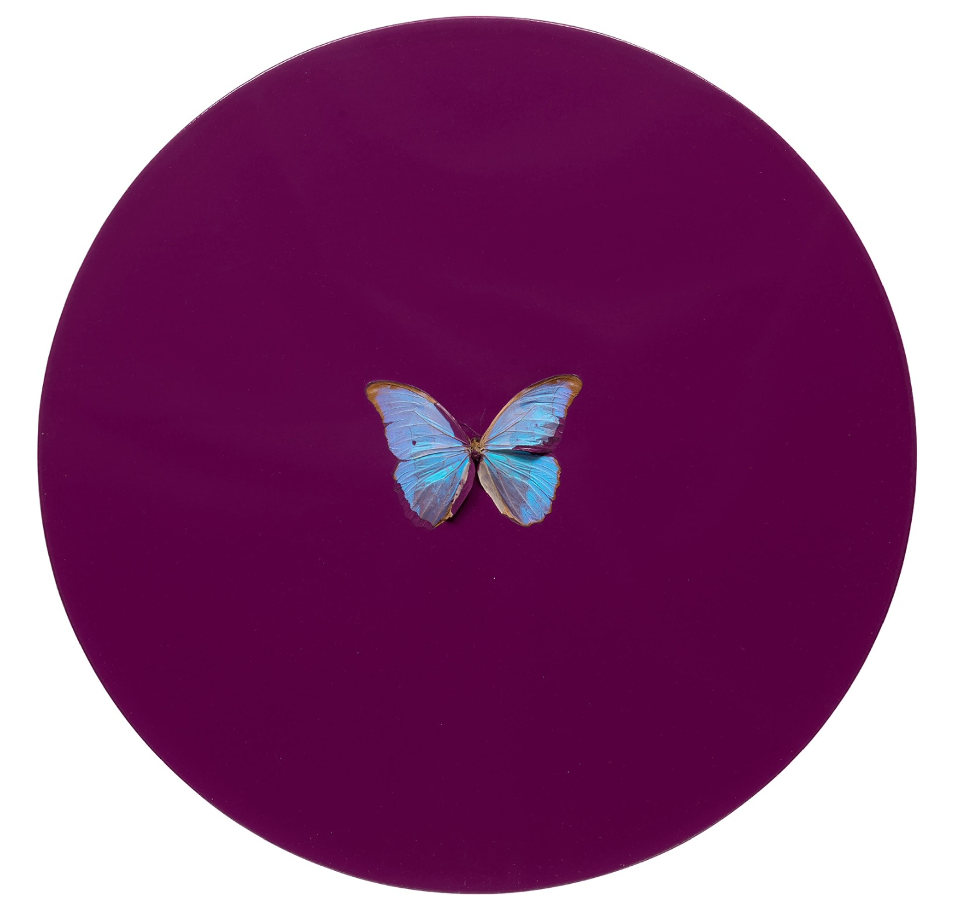 Image © Phillips / Cancer © Damien Hirst 2008