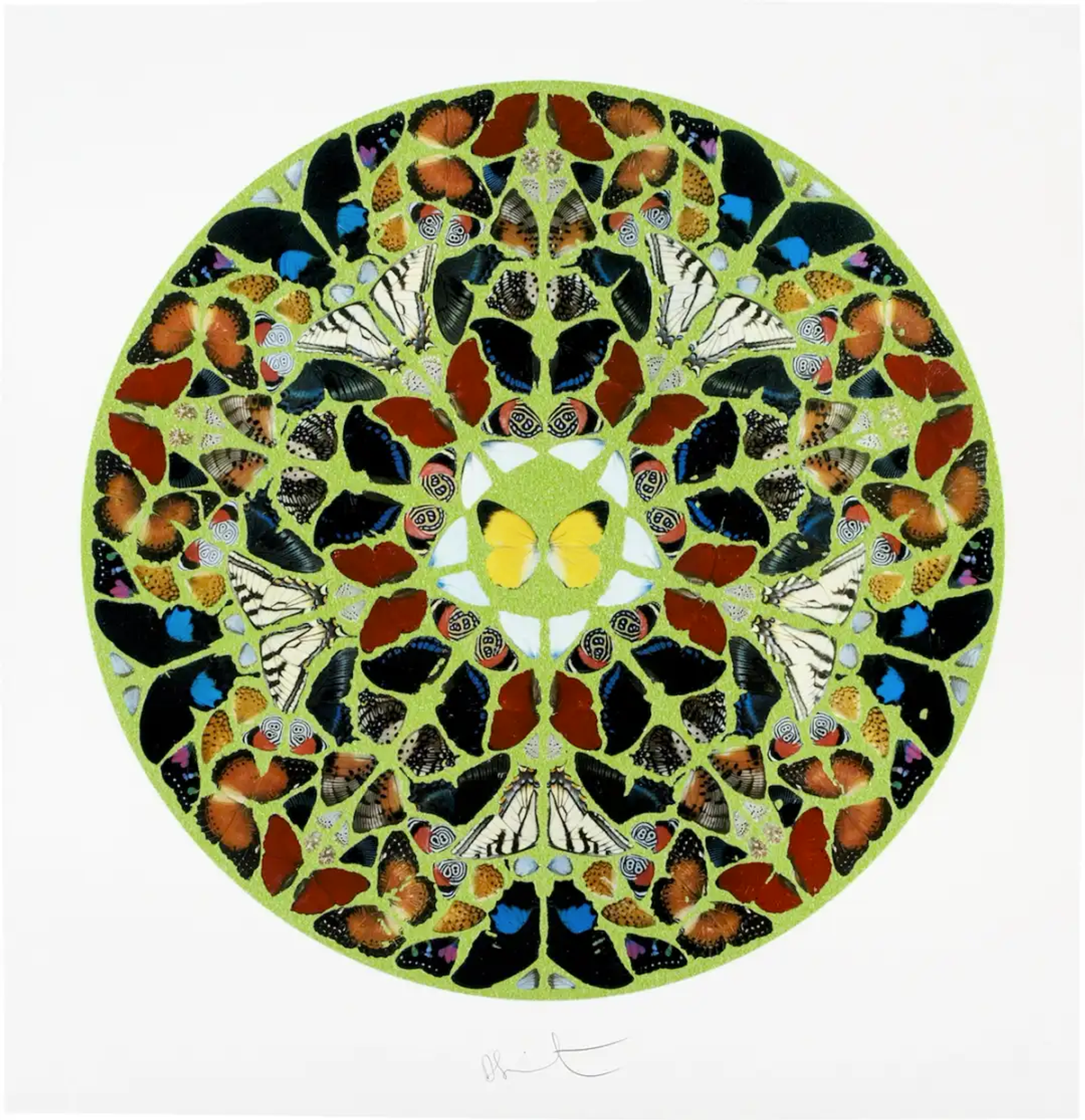 Damien Hirst’s Preoccupation with Kaleidoscopes