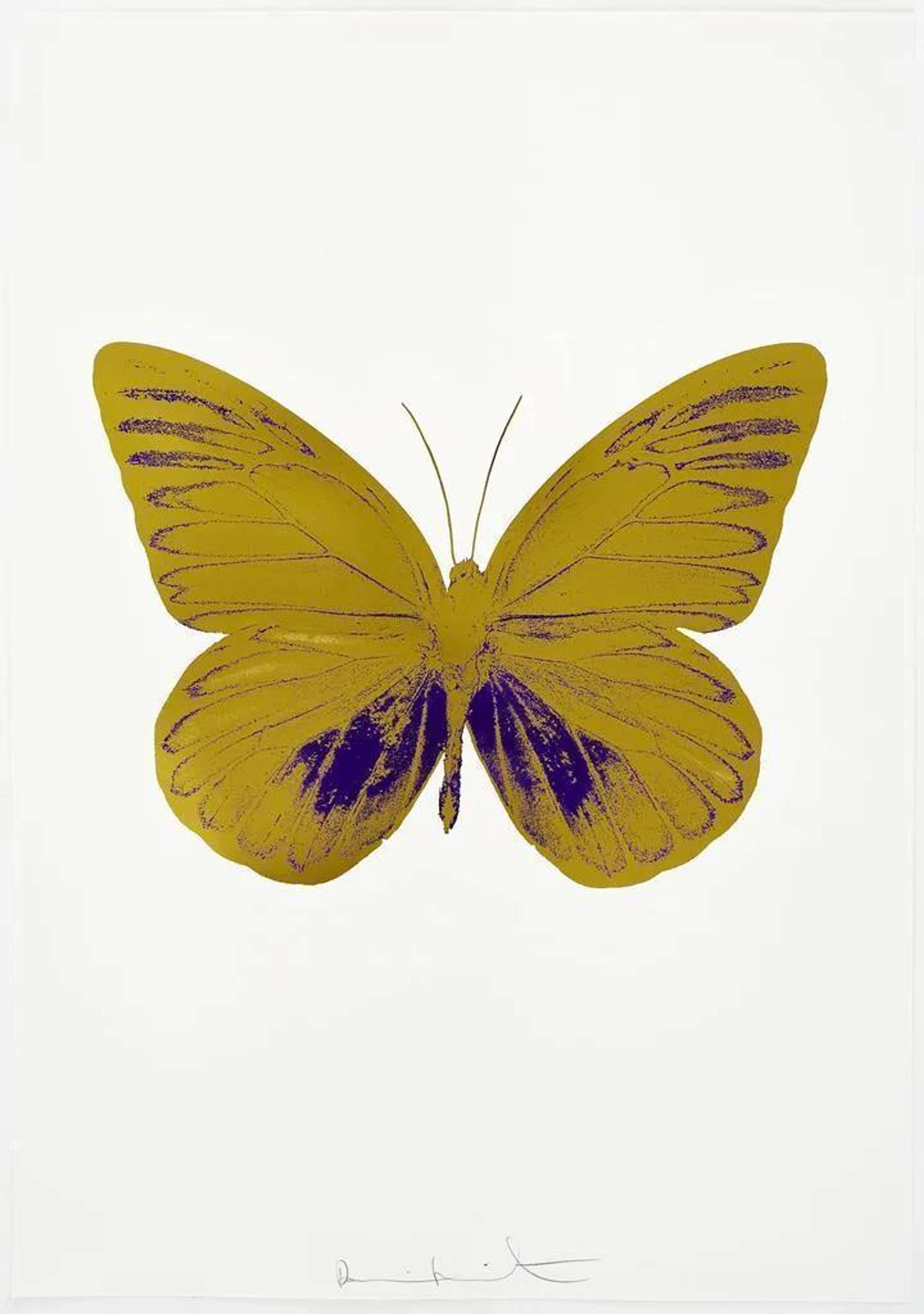 The Souls I (oriental gold, imperial purple) - Signed Print by Damien Hirst 2010 - MyArtBroker