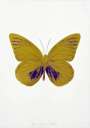 Damien Hirst: The Souls I (oriental gold, imperial purple) - Signed Print