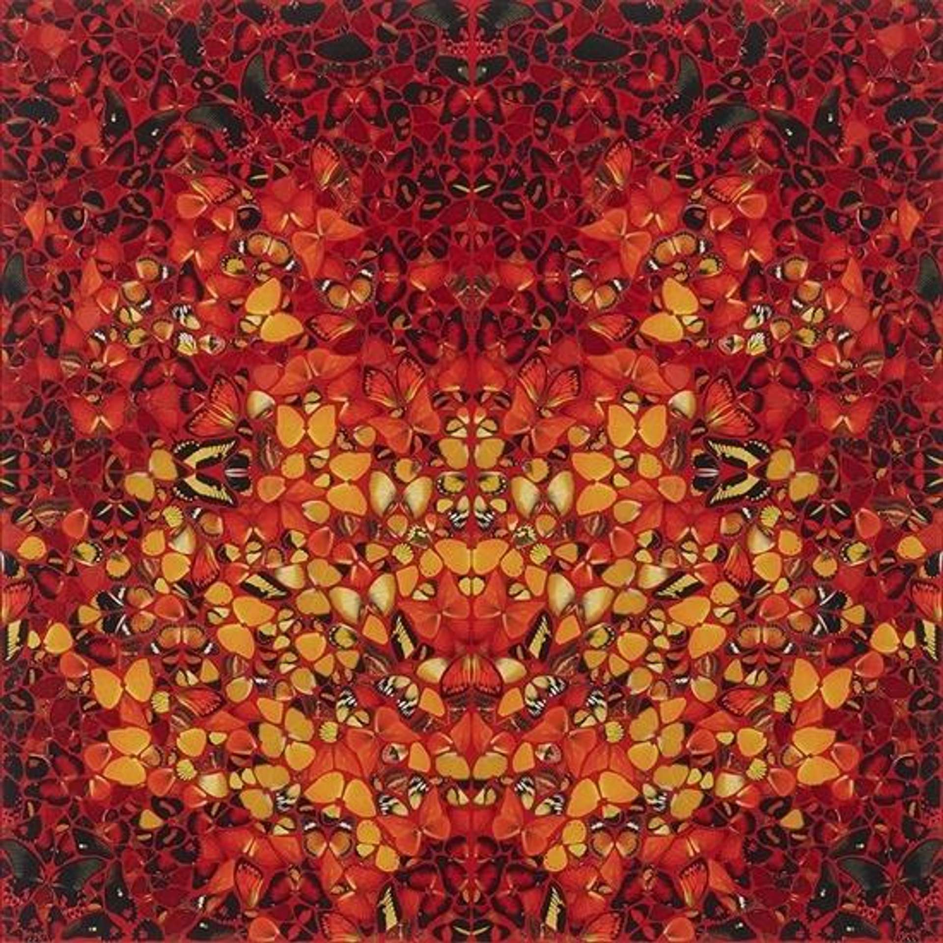 Damien Hirst’s H6-8 Fire. A giclée print of a mirrored pattern of butterflies that are yellow and black, red and black, and orange. 