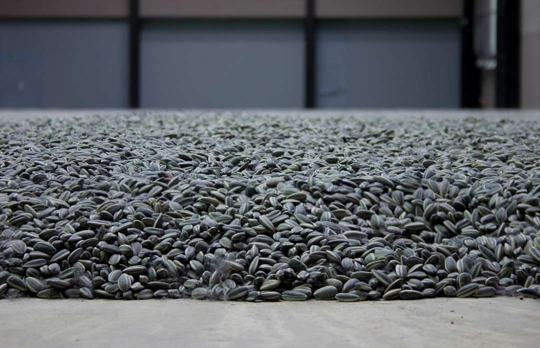 10 Facts About Ai Weiwei | MyArtBroker | Article