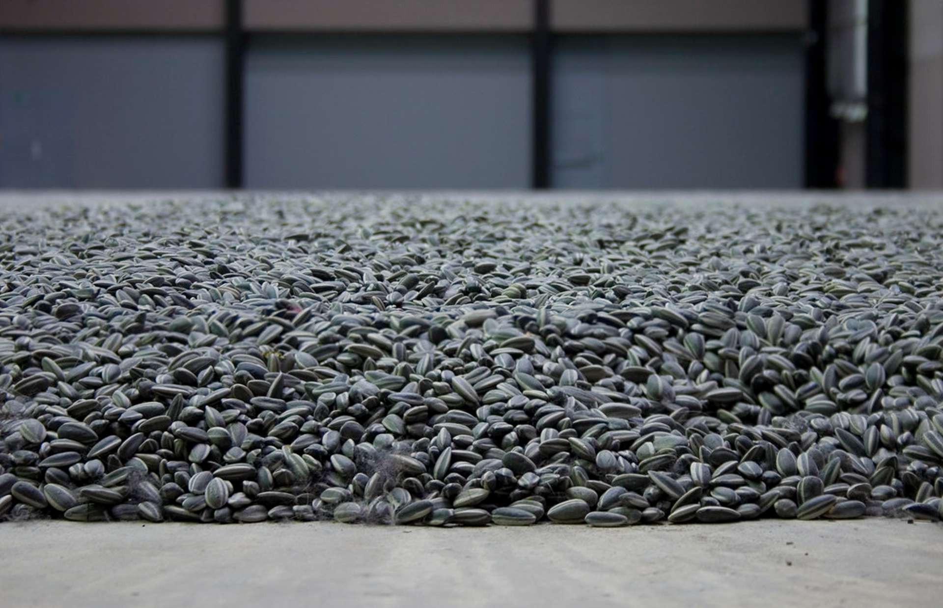 A close-up of Ai Weiwei's Sunflower Seeds installation at the Tate Modern, in London 2010.