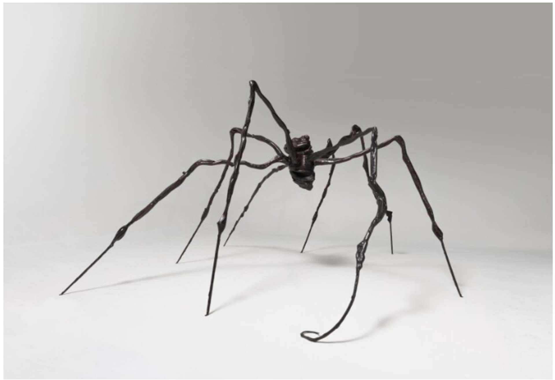 A towering 300 centimeter spider sculpture with eight limbs gracefully balanced on the floor, its front limb curled underneath.