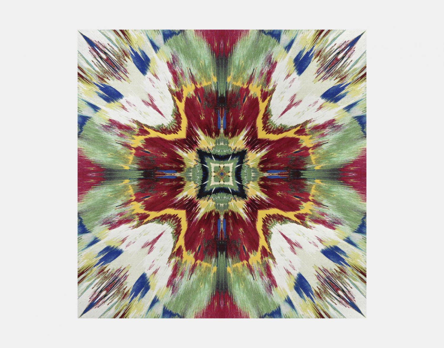 アート・デザイン・音楽 Damien Hirst 162: DAMIEN HIRST, Signed Butterfly Spin Painting < 20|21
