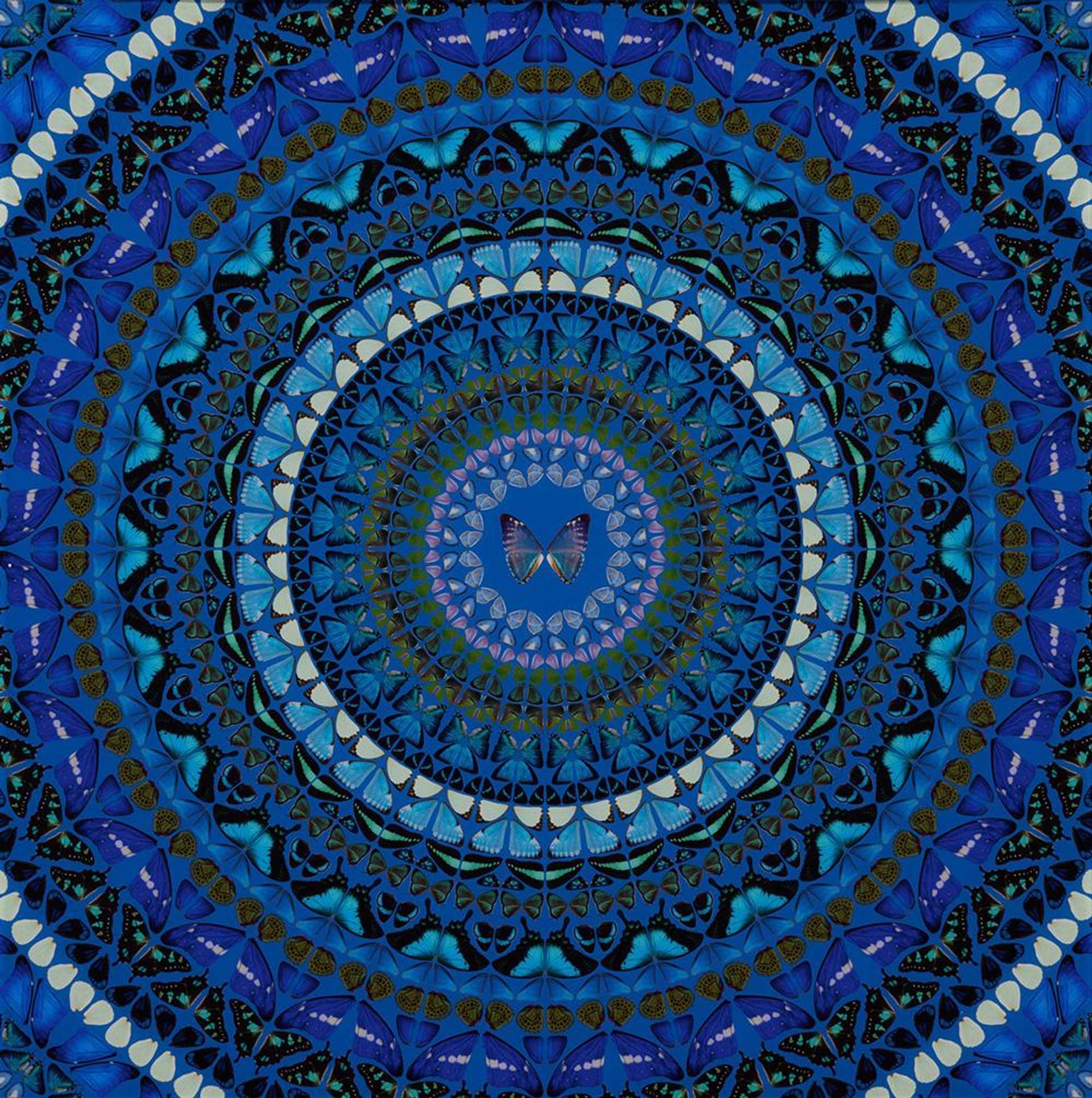 Damien Hirst’s H6-9 Water. A giclée print of a blue, circular, kaleidoscopic pattern of various butterflies. 
