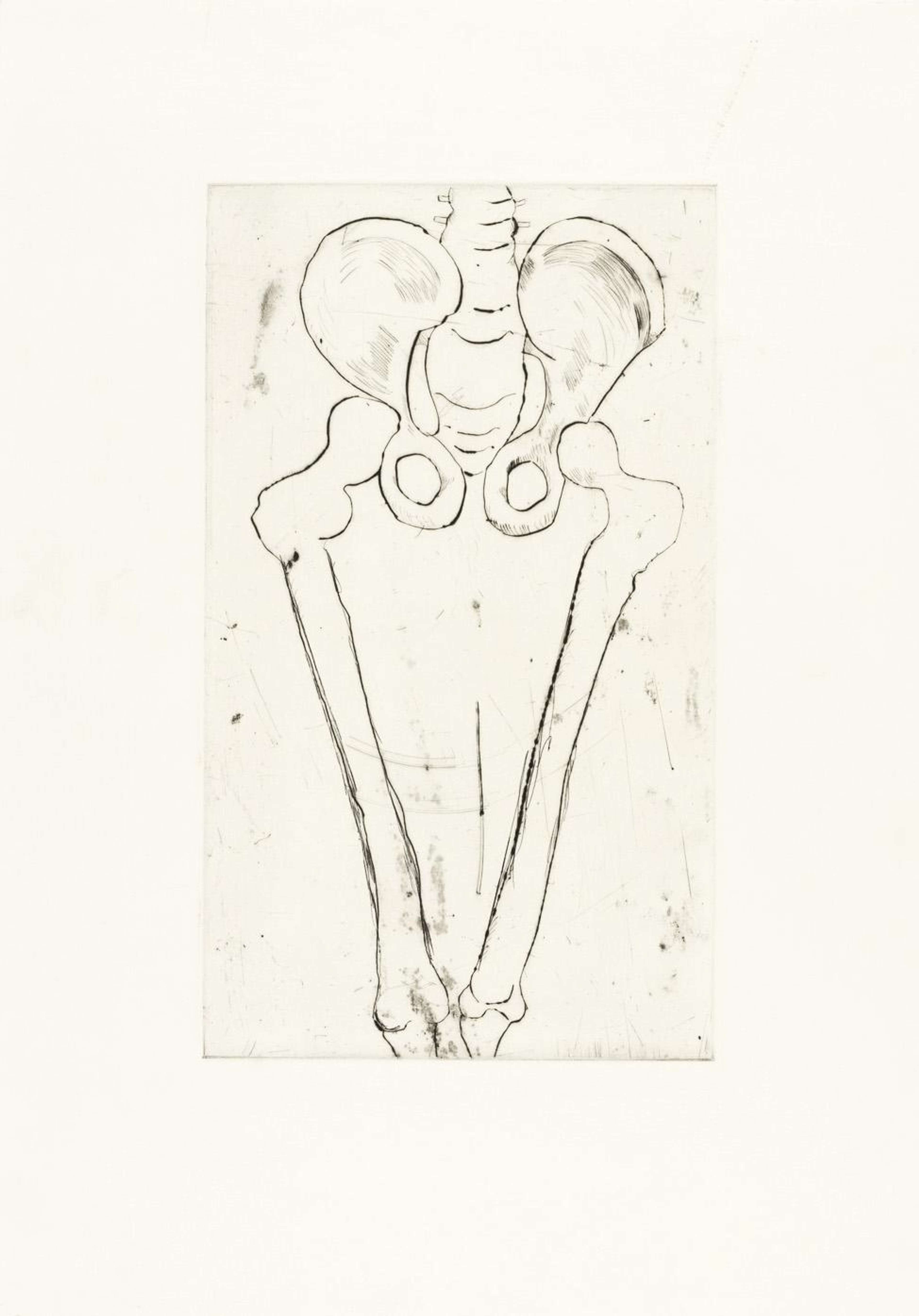 This print by Bourgeois shows a drawing of a human femur, done in fine black lines against a white background.