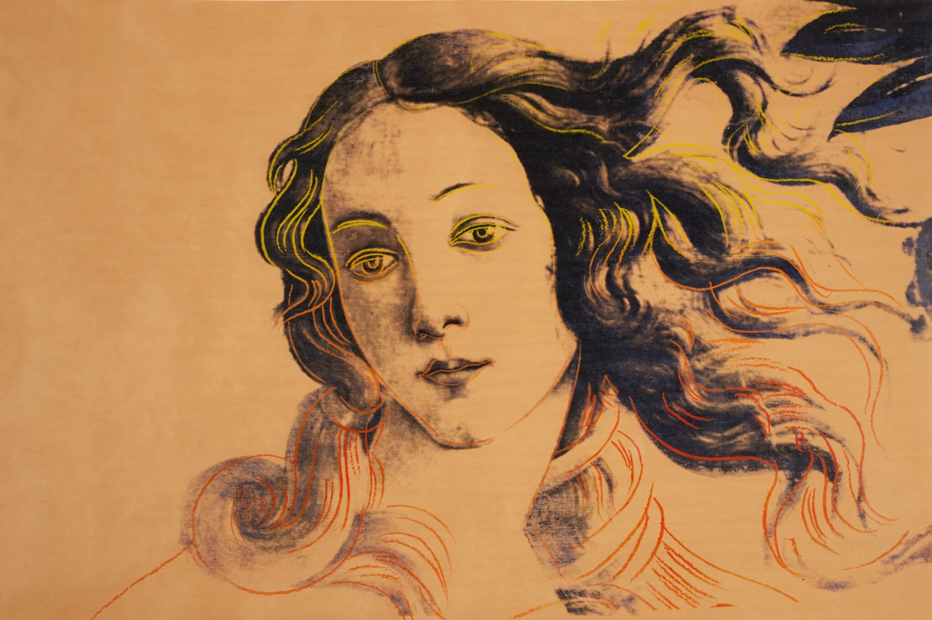 Andy Warhol's silkscreen ink on paper appropriation of Sandro Botticelli's ‘Birth of Venus’. Botticelli's original composition is cropped, focusing on Venus' portrait. The portrait is executed in black ink on beige paper, with graphic lines delineated in yellow and orange in Venus' hair and eyes.