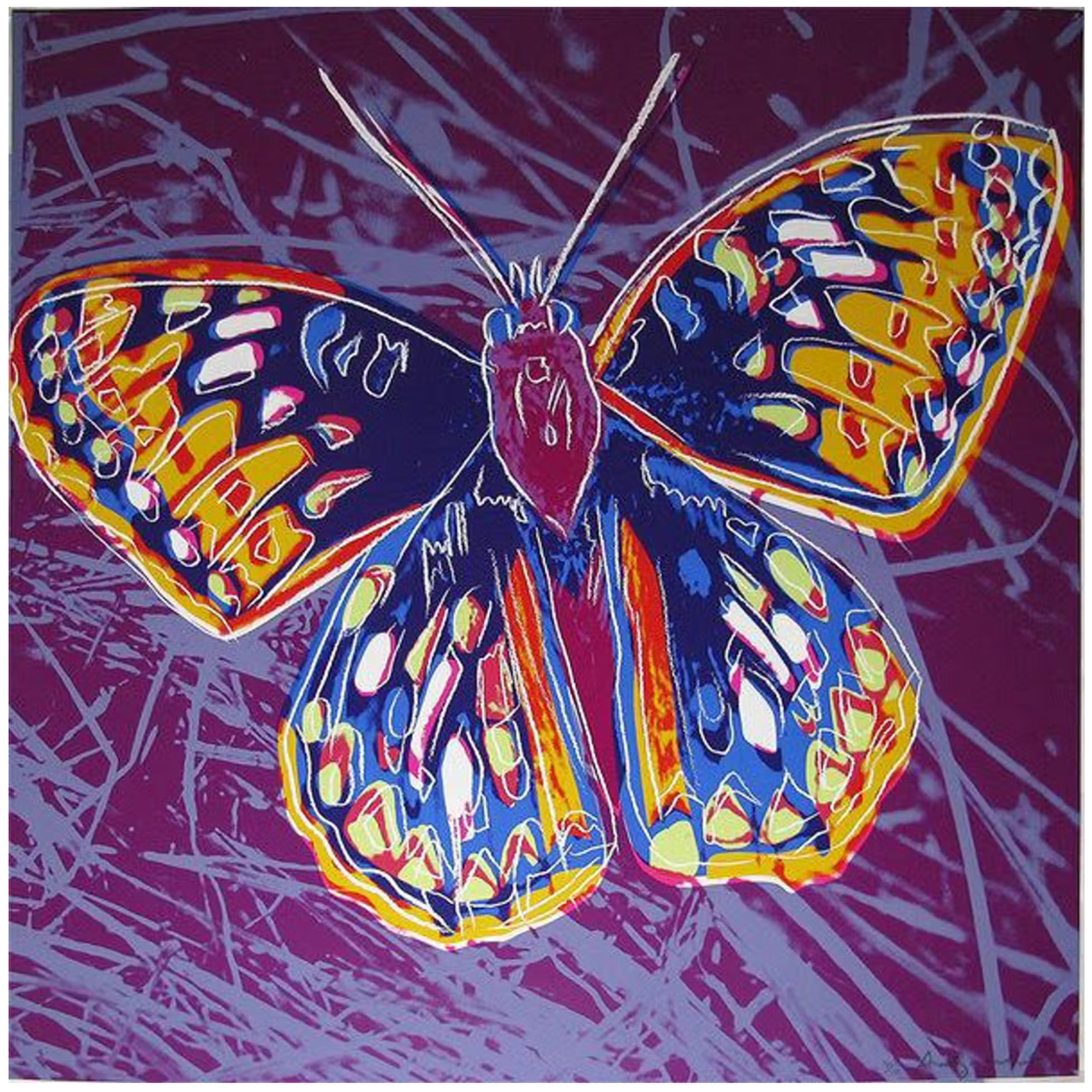 San Francisco Silverspot Butterfly (F. & S. II 298) by Andy Warhol - MyArtBroker