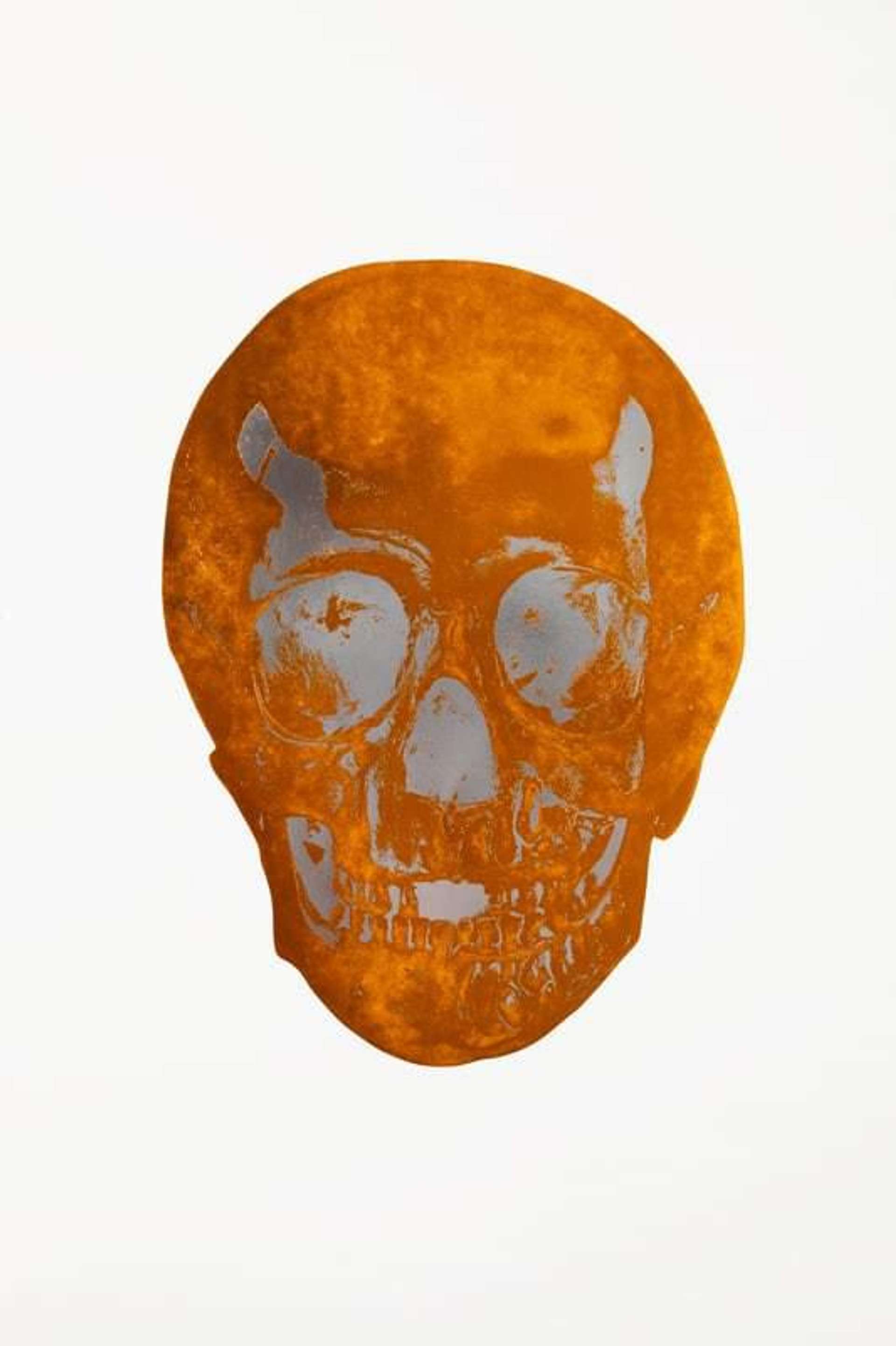 Damien Hirst: The Dead (island copper, silver gloss) - Signed Print