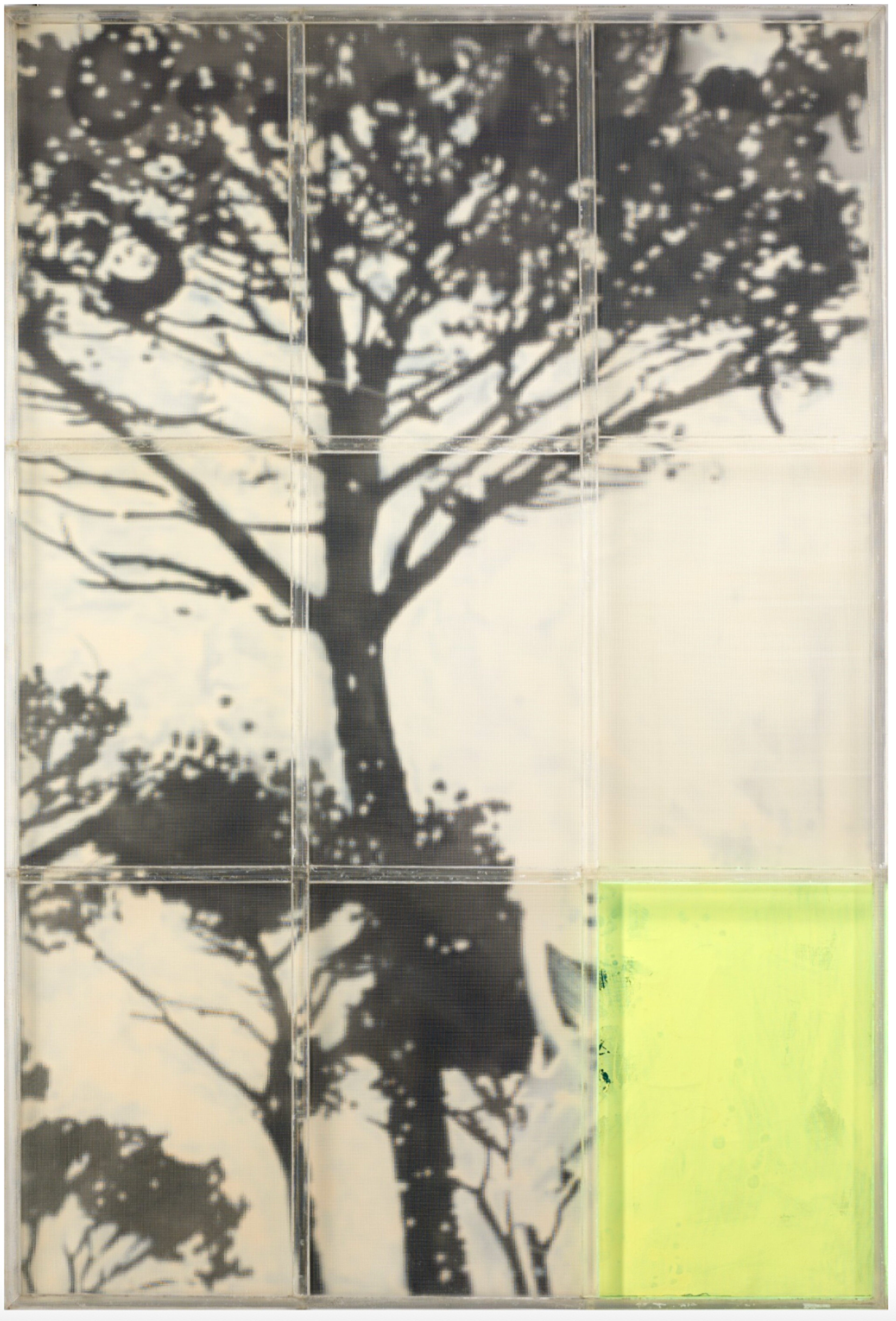 A black-and-white image of a small group of trees with dense branches, on a pale background, overlaid with a subtle 3 by 3 grid, the lower-right corner of which is a translucent lime green.