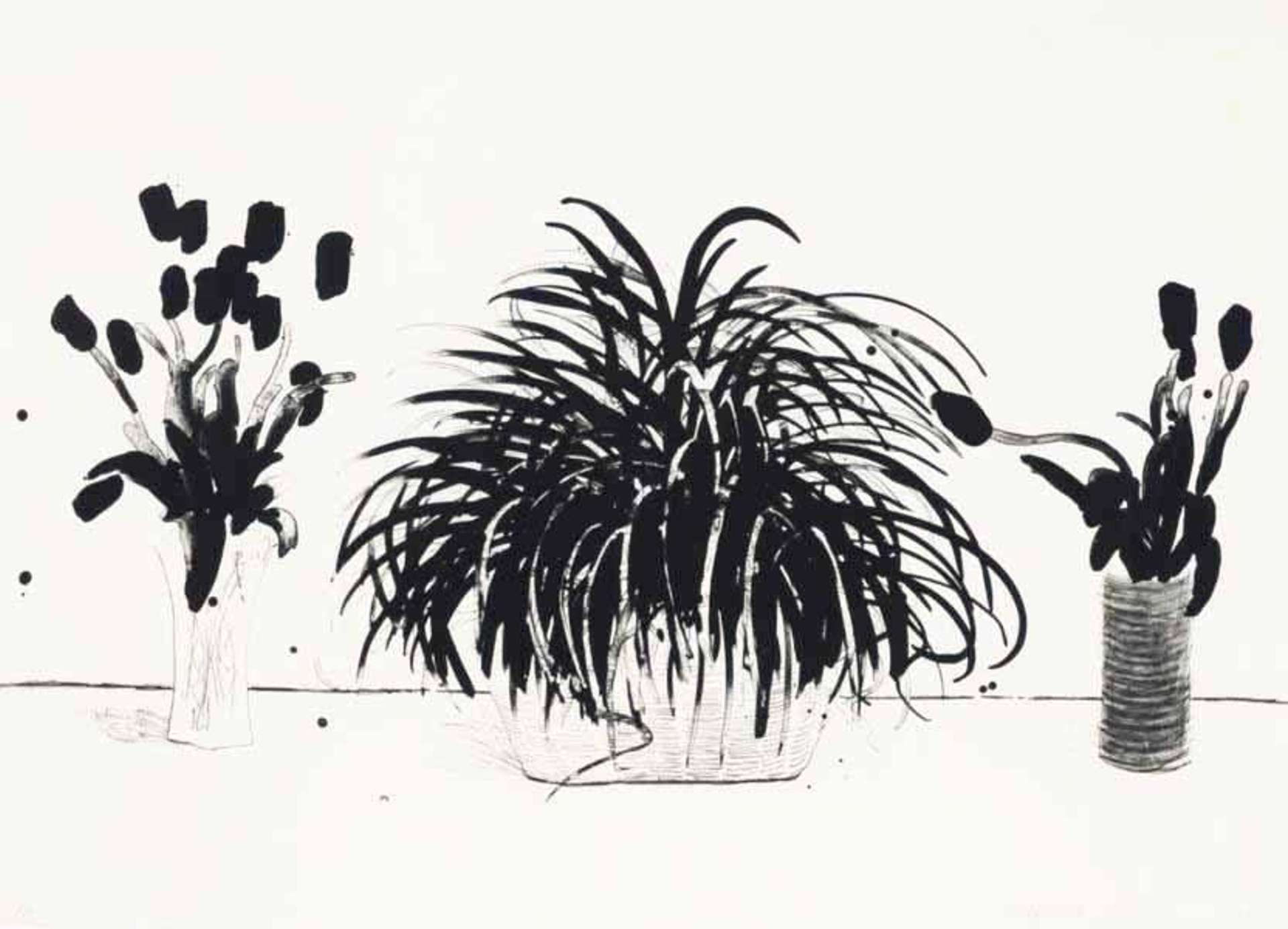 David Hockney: Two Vases Of Cut Flowers And A Liriope Plant - Signed Print