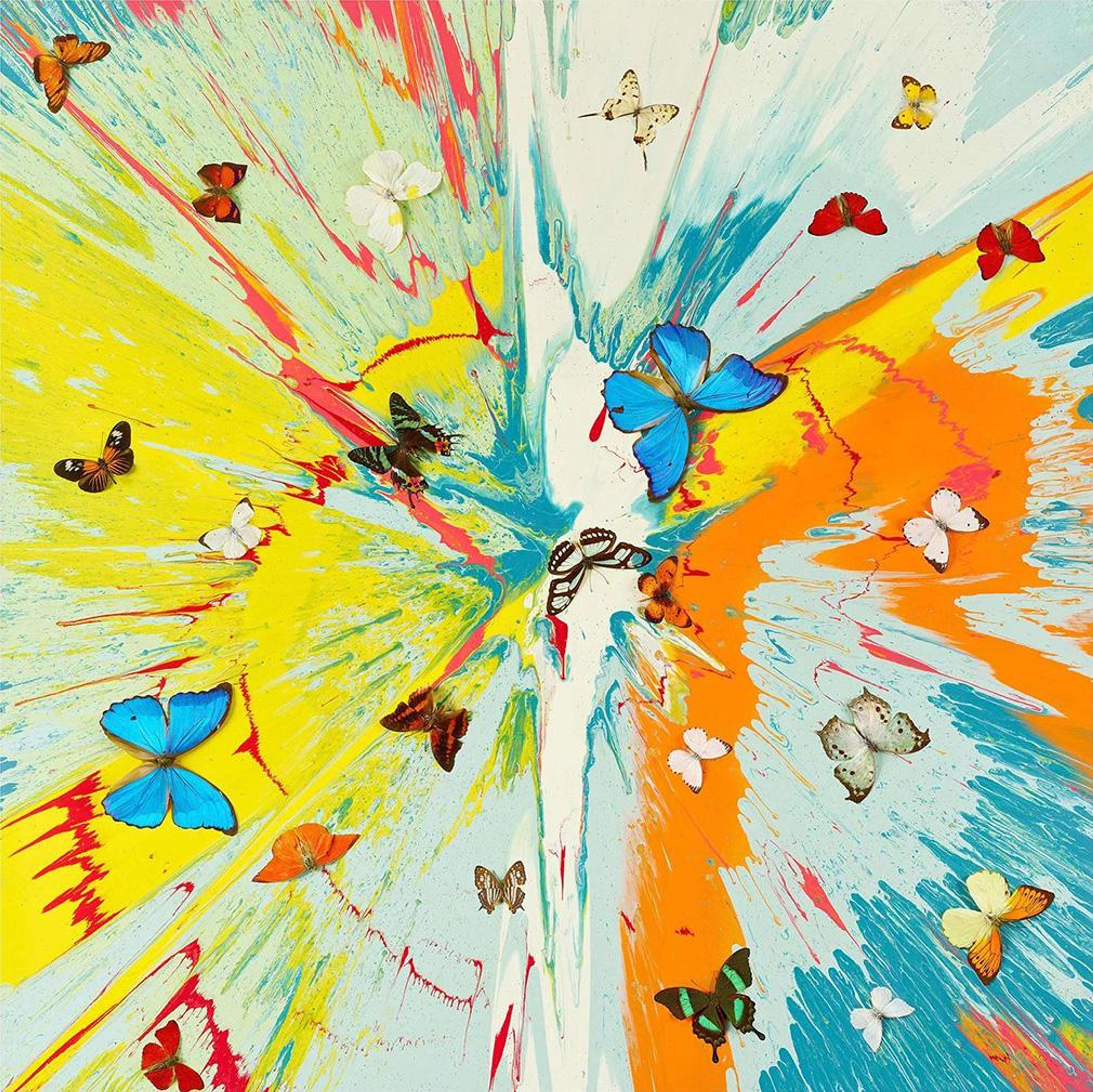 H19-4 Transient Ephemera - Signed Print by Damien Hirst 2025 - MyArtBroker
