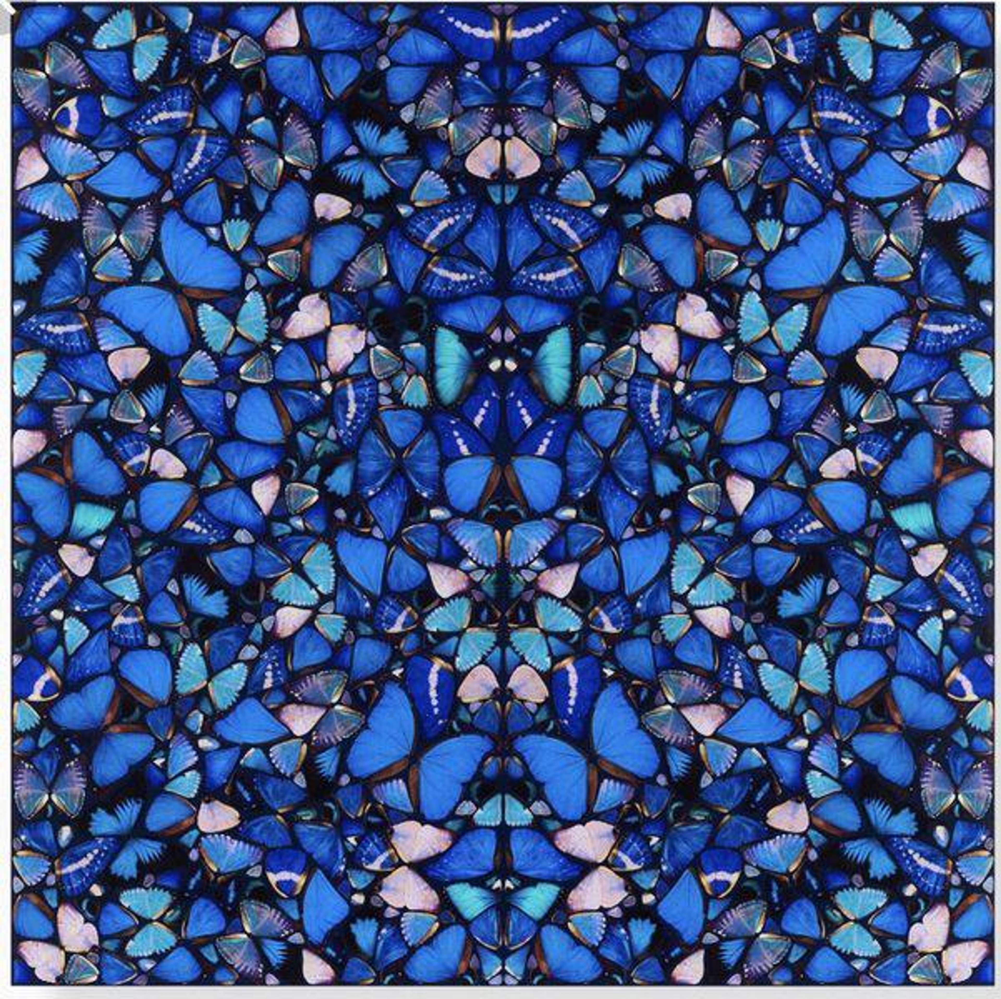 An image of Damien Hirst's artwork titled H6-1 Mercy. The piece features a mosaic composition of butterflies in various shades of blue.