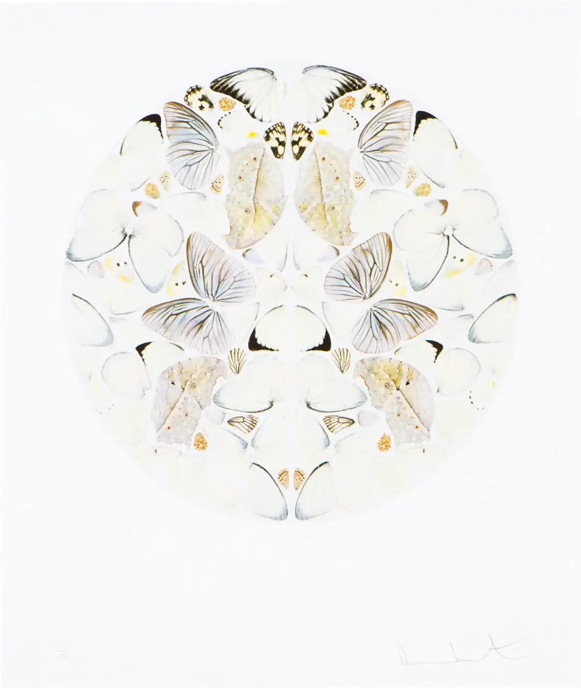 Damien Hirst’s Canon. A giclée print of a sphere of a mirrored collage of off white coloured butterflies.
