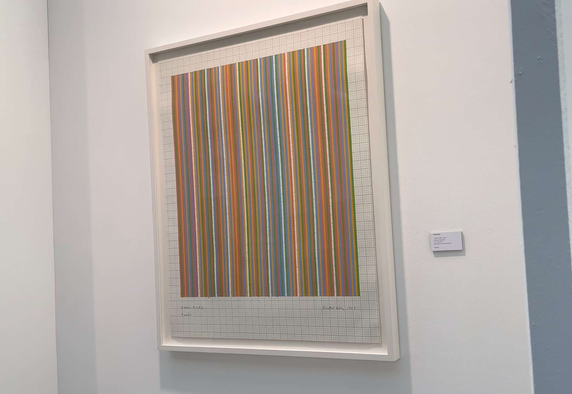 A photograph of an artwork by Bridget Riley depicting colourful straight vertical lines against a graph paper background.