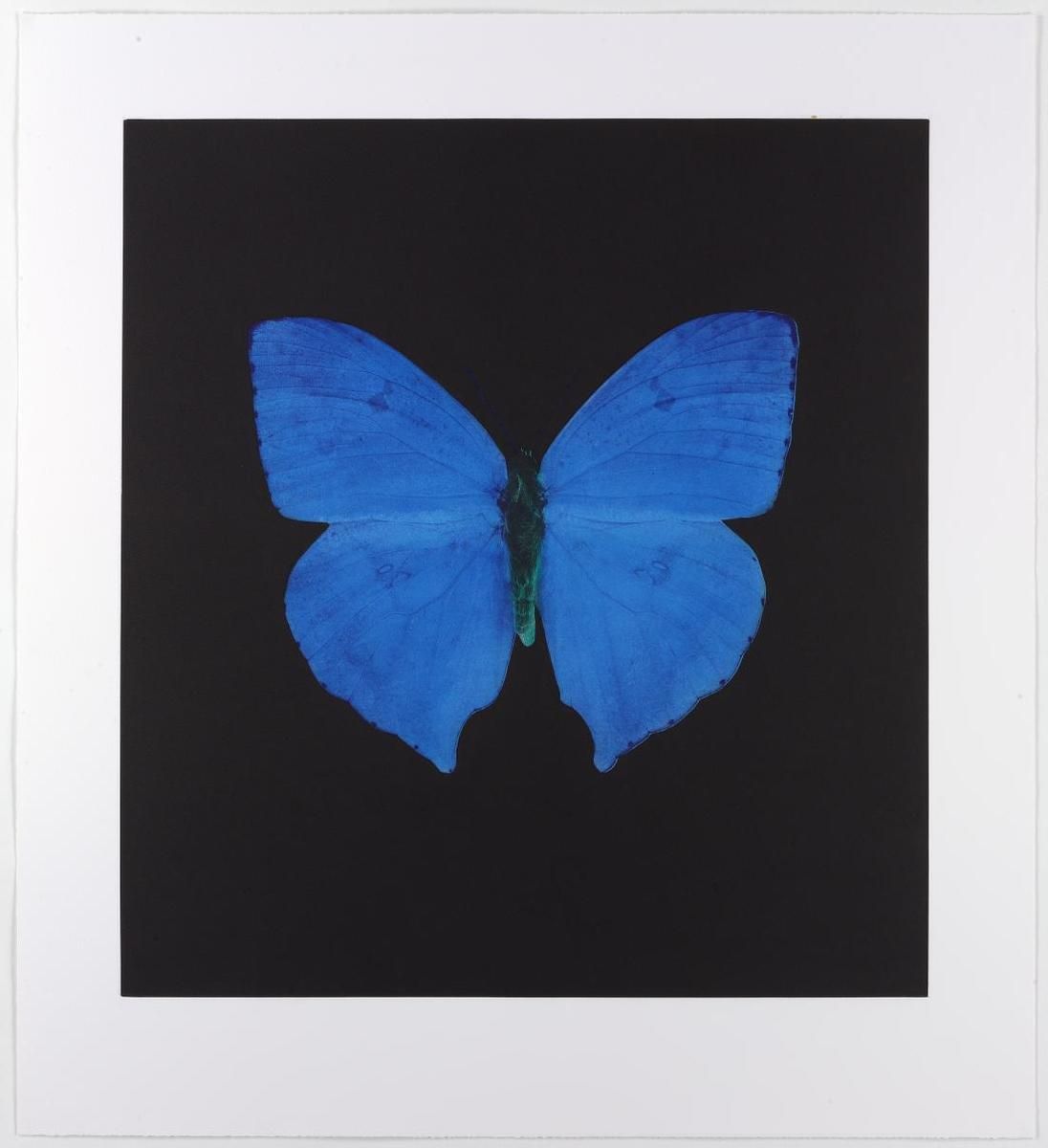 Memento by Damien Hirst Background & Meaning | MyArtBroker
