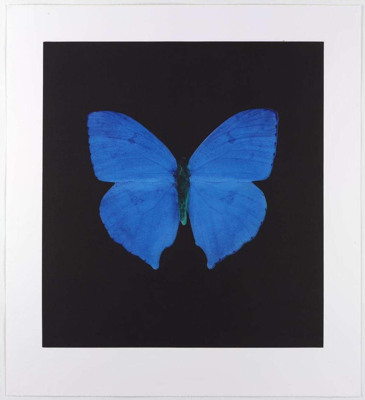 Damien Hirst Memento 5 (Signed Print) 2008