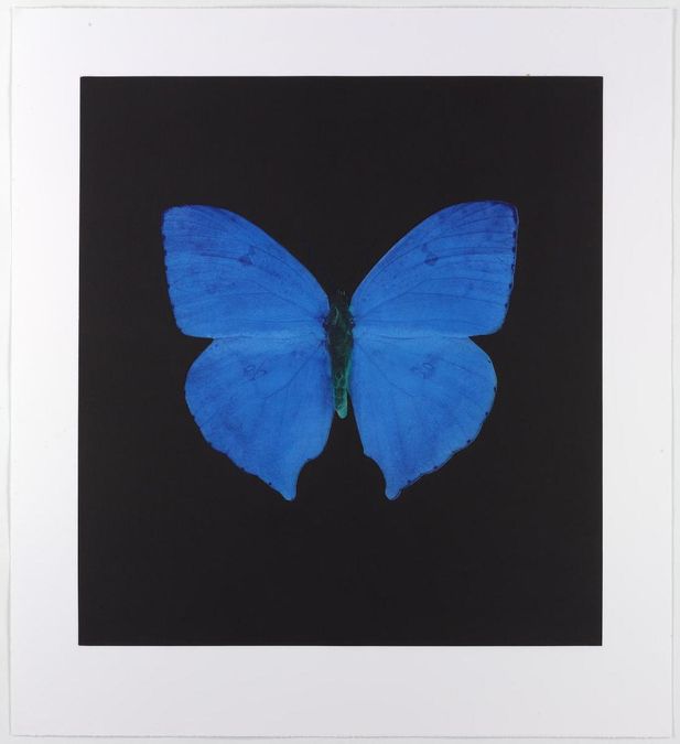 Damien Hirst Memento 5 (Signed Print) 2008