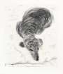 David Hockney: Dog Etching No. 7 - Signed Print