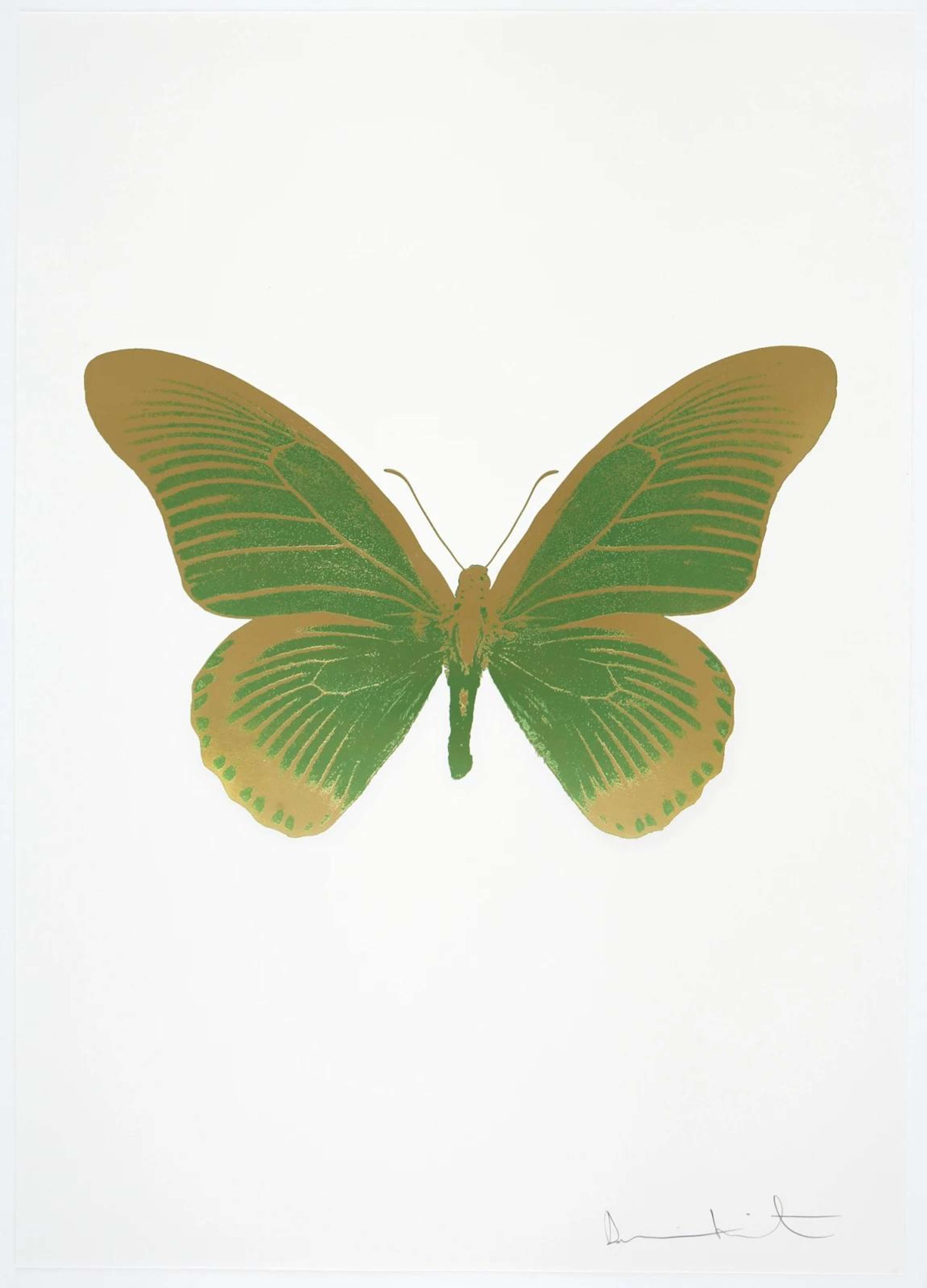 The Souls IV (leaf green, sunset gold) - Signed Print by Damien Hirst 2010 - MyArtBroker