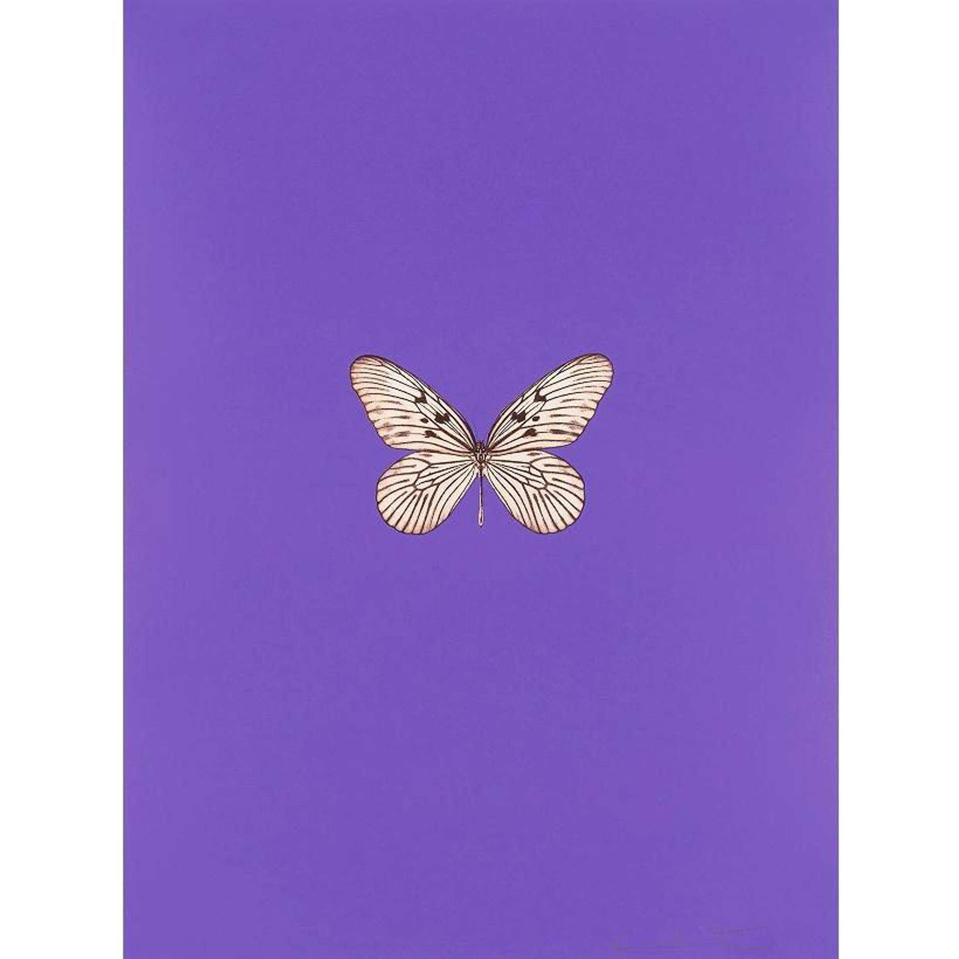 It's A Beautiful Day 1 - Signed Print by Damien Hirst 2013 - MyArtBroker