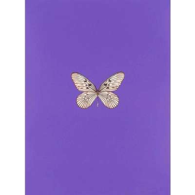 Damien Hirst: It’s A Beautiful Day 1 - Signed Print