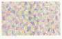 Jasper Johns: Scent - Signed Print
