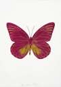 Damien Hirst: The Souls I (fuchsia pink, oriental gold) - Signed Print
