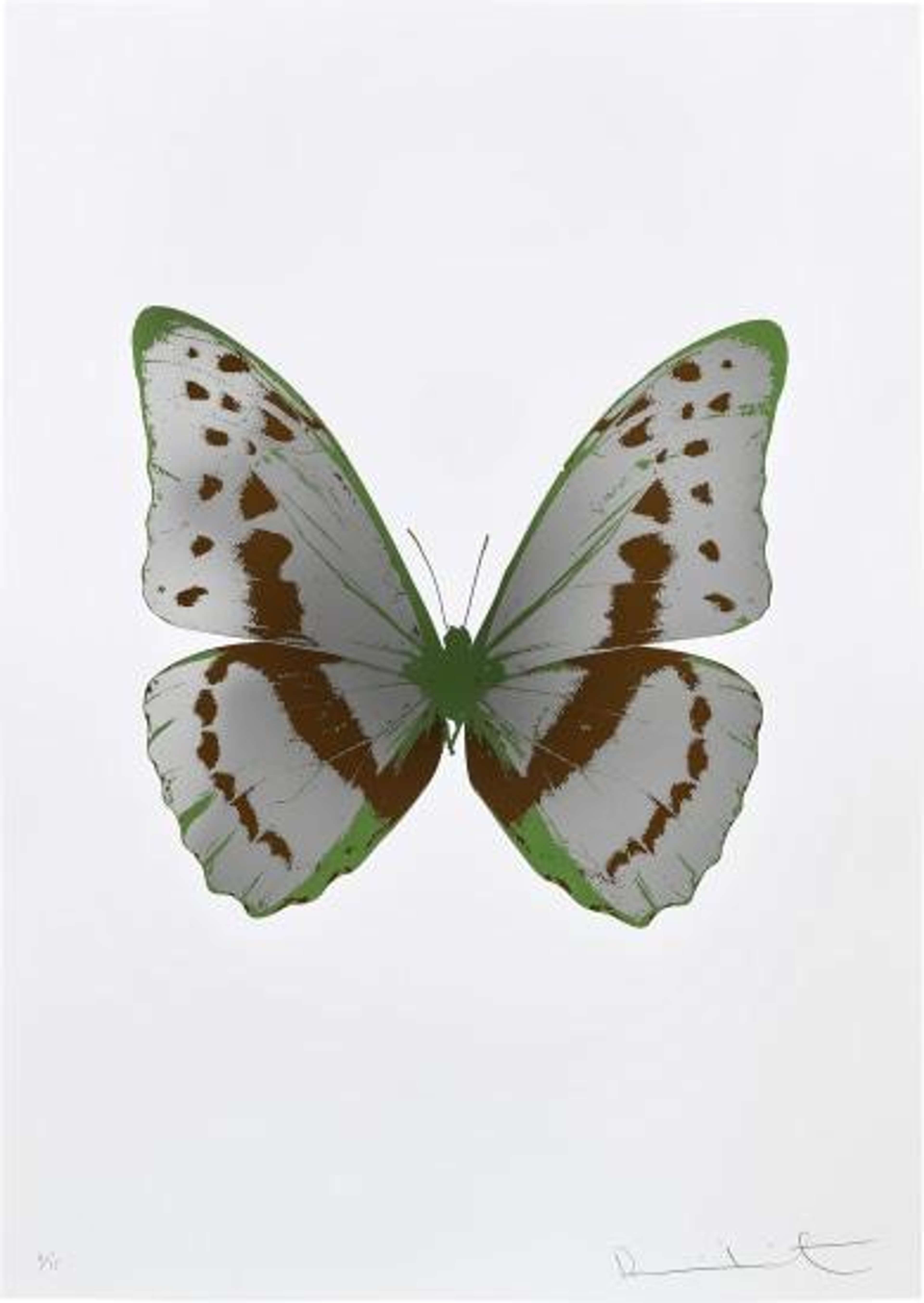 The Souls III (silver Gloss, chocolate, leaf green) - Signed Print by Damien Hirst 2010 - MyArtBroker