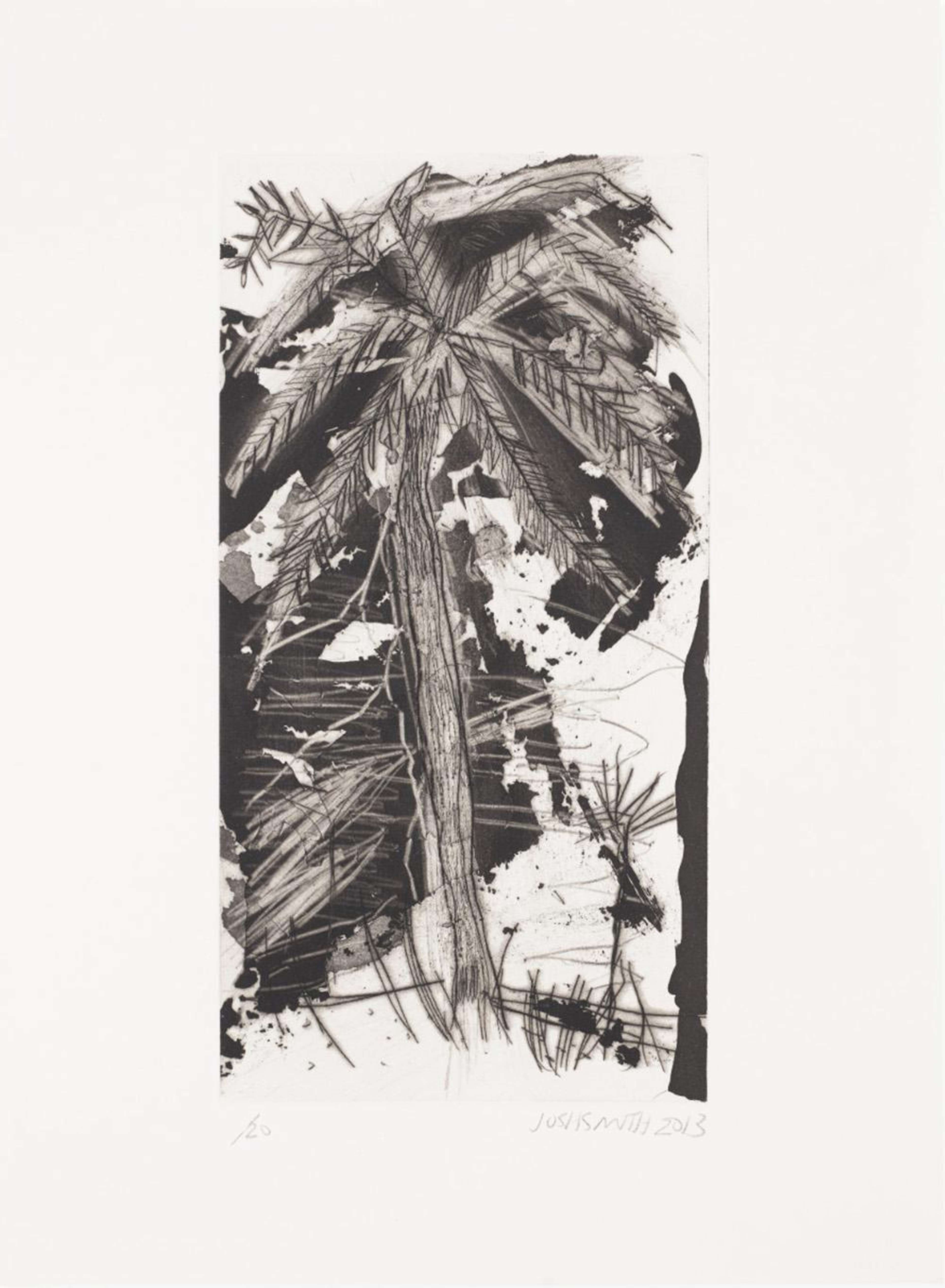 Wild Palms 6 - Signed Print by Josh Smith 2013 - MyArtBroker