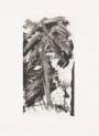 Josh Smith: Wild Palms 6 - Signed Print