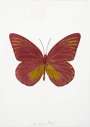 Damien Hirst: The Souls I (loganberry pink, oriental gold) - Signed Print