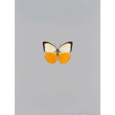 It's A Beautiful Day 4 - Signed Print by Damien Hirst 2013 - MyArtBroker