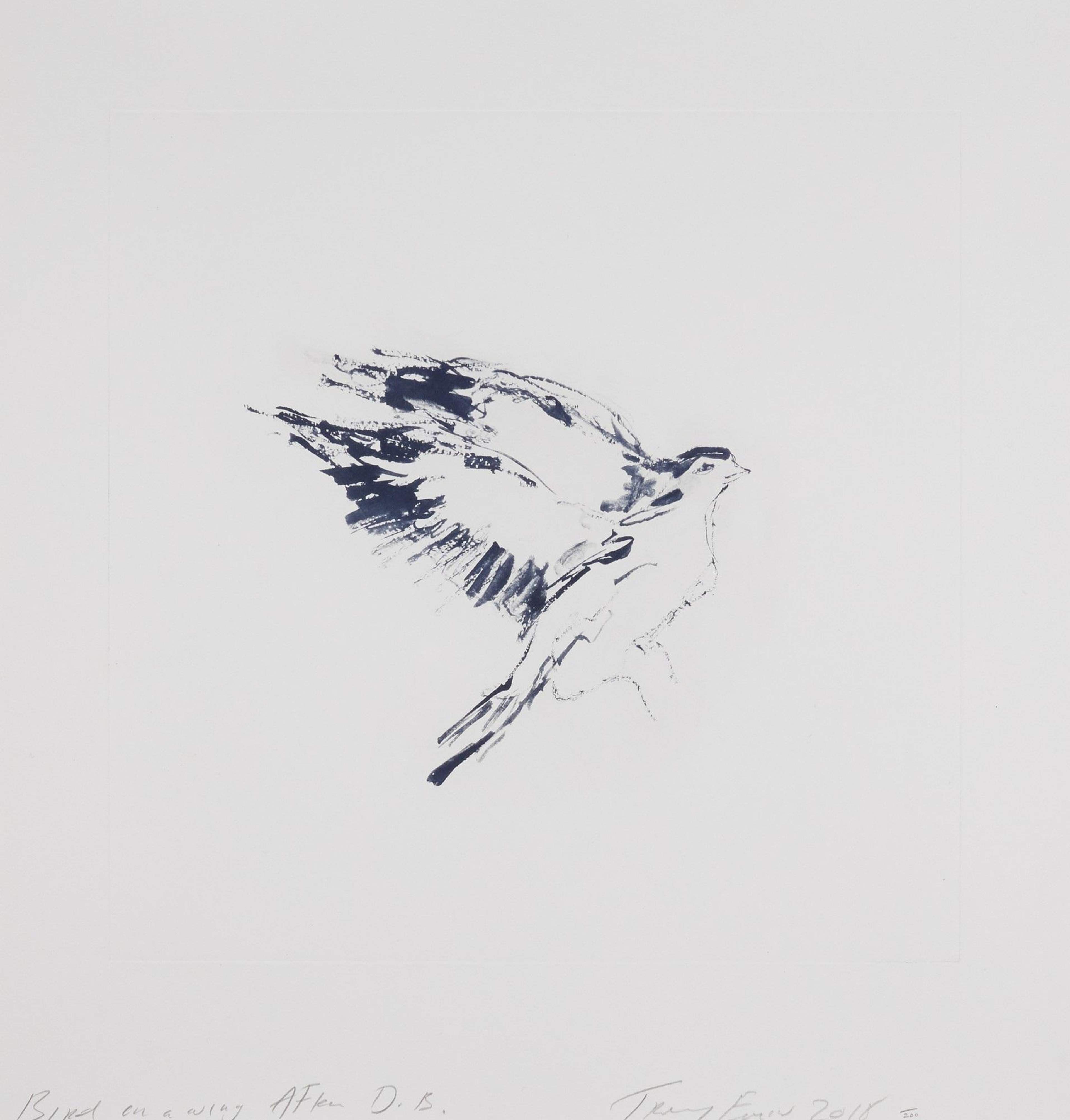 Bird On A Wing - Signed Print