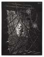 M. C. Escher: Cobwebs - Signed Print
