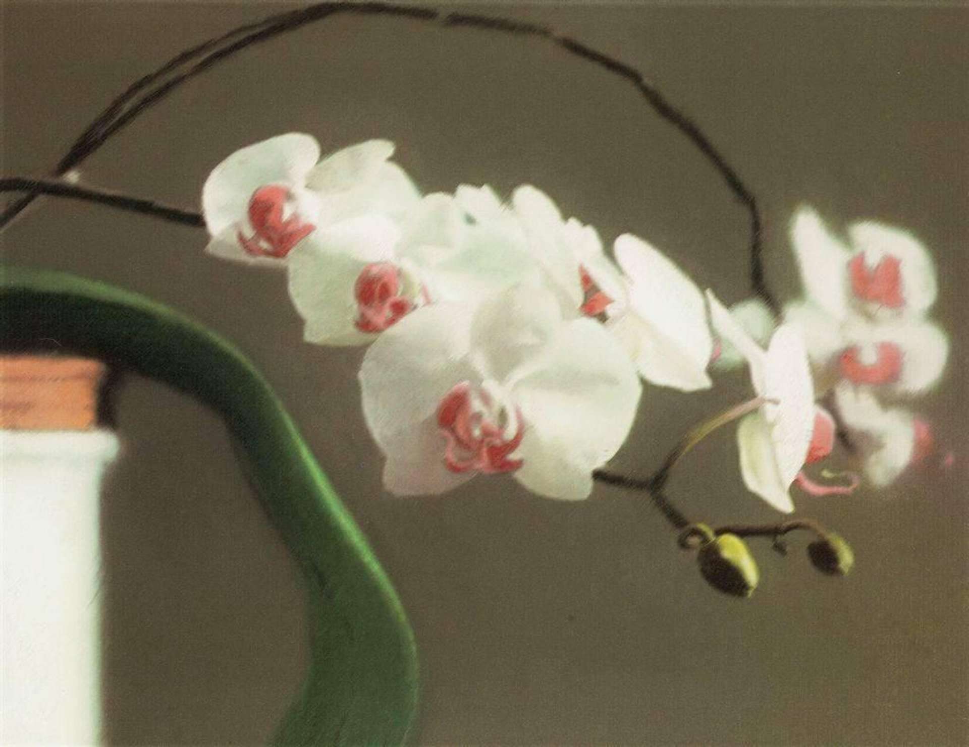 Gerhard Richter: Orchid II - Signed Print