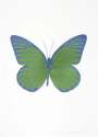 Damien Hirst: The Souls I (leaf green, blind impression, cornflower blue) - Signed Print