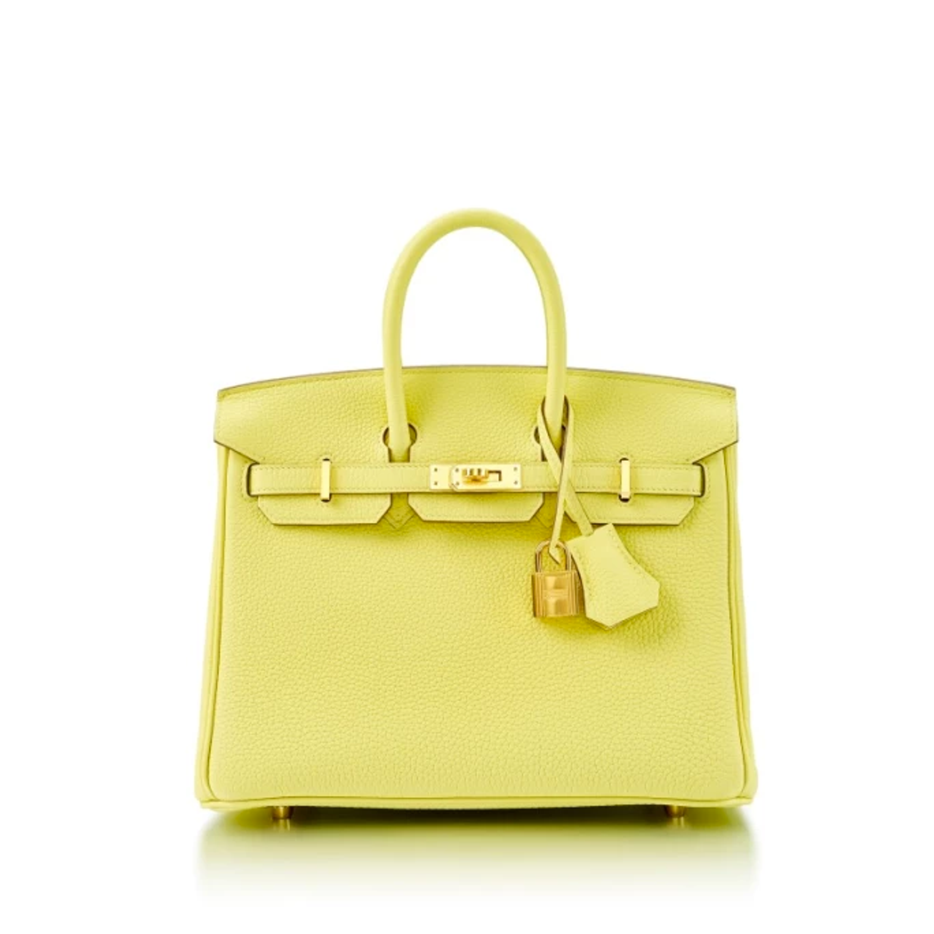 The History of Iconic Luxury Bags: Chanel, LV speedy, Birkin, Goyard
